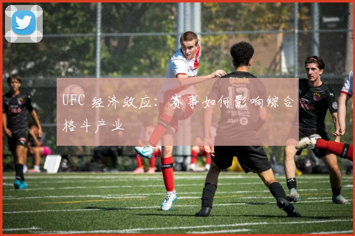 UFC 经济效应:赛事如何影响综合格斗产业