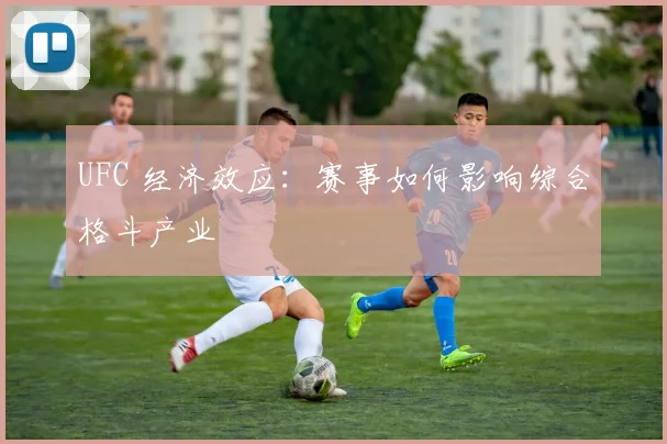 UFC 经济效应:赛事如何影响综合格斗产业