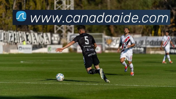 互动解说服务